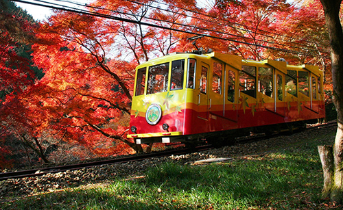 高尾山 紅葉 コース 2019