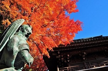 高尾山 紅葉 コース 2019
