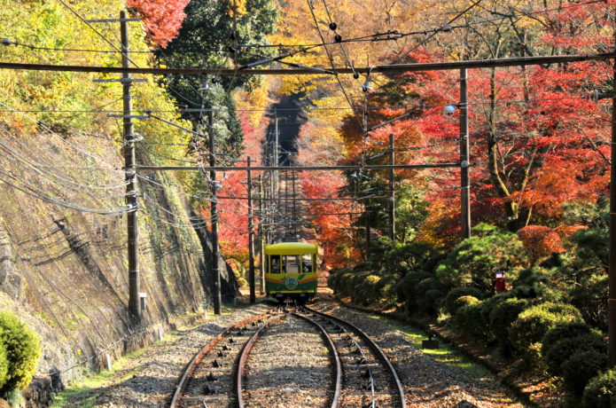 高尾山 紅葉 2019 見頃