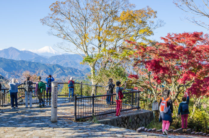 高尾山 紅葉 2019 見頃