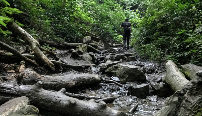 高尾山 紅葉 2019 混雑 観光客