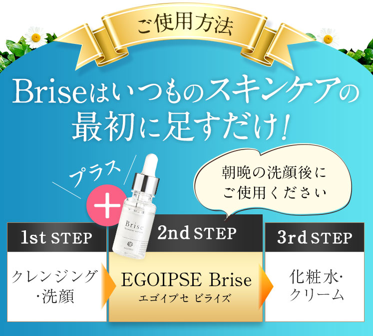 エゴイプセ ビライズ 使い方