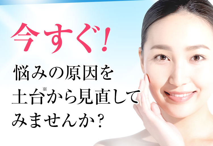 エゴイプセ ビライズ 使い方