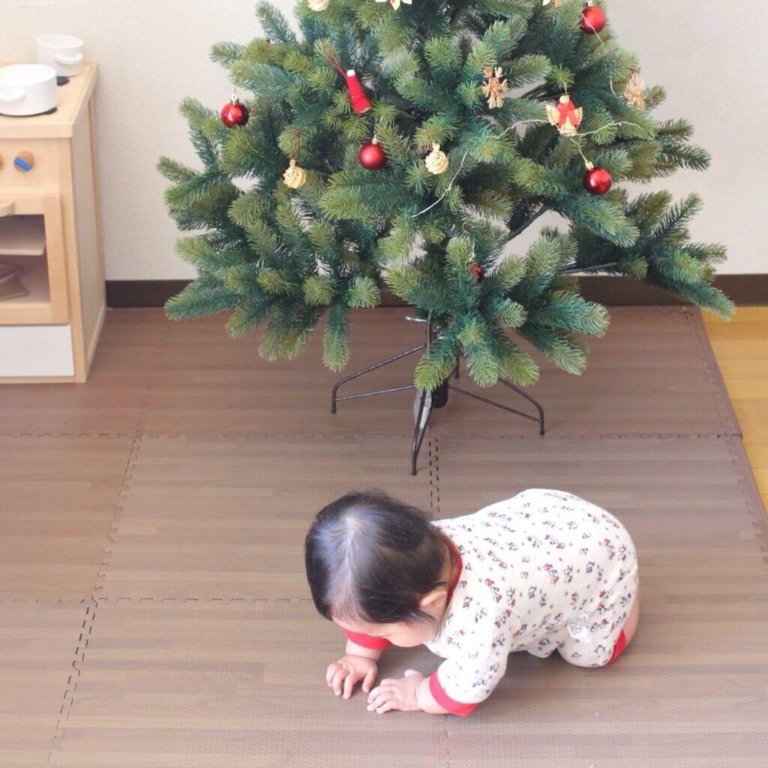 0歳児 クリスマス 過ごし方