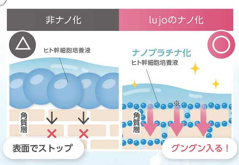 lujo ルジョー